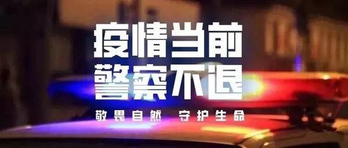 金坛外卖爆料事件真相视频,揭秘事件背后真相与真相背后的真相