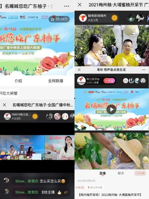 柚子每日爆料怎么做视频,轻松制作视频的实用指南